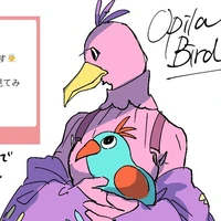 opila bird 🇧🇷