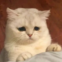 หลง