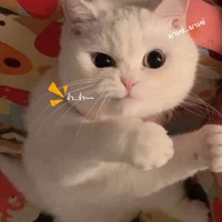 คนอ่านที่น่า(ลัก)รัก