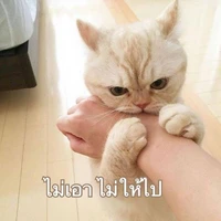 อีแอดป.ญ.อ.