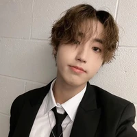 Han Jisung (Beta)