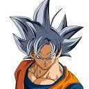 goku perfected ui