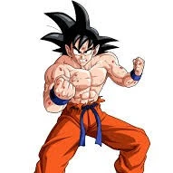 goku damaged
