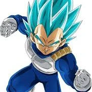 vegeta ssgss