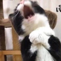 ตปก