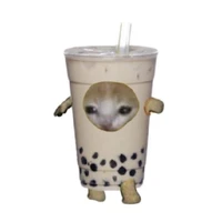 โคต้า