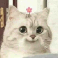 แอดเองง
