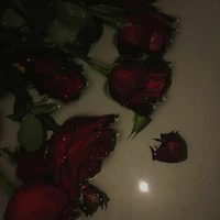 ภูผา