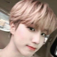 Han Jisung