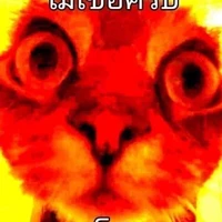 นุ้งเด๋อ