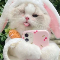 🥕มะแอ่ว_แมวอ้วน🥕
