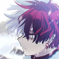 Shoto Todoroki