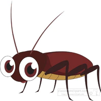 Mr cockroach