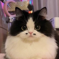 หลิงหลิงLingling{แอดทึ}💎