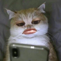 แอด