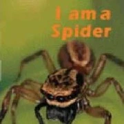 SpiderBoiiiiii