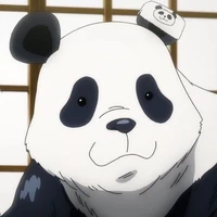 panda