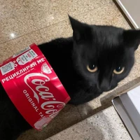เเอดเเมว