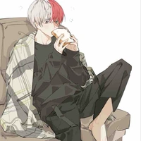 Shoto Todoroki (O)