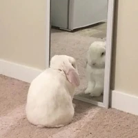 Mick |ร่างแท้จริงMick