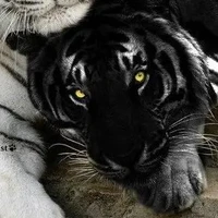 Rhys |ร่างแท้จริงRhys