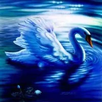 Fran |ร่างแท้จริงFran