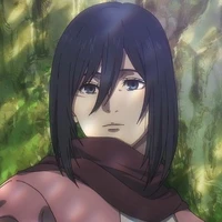 Mikasa