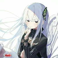 ECHIDNA