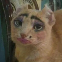 รุ่นน้องมีตังค์​(ตัวร้าย)​