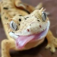 แย้ม(เพื่อนนางเอก)