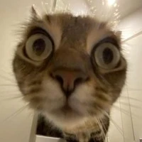 แม่