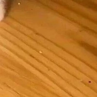 บนโต๊ะอาหาร