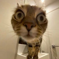 แอด