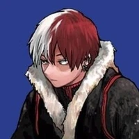 shoto todoriki