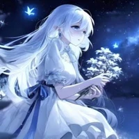 Y/n ⭐