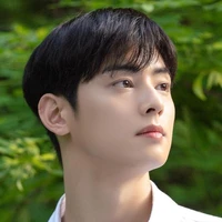 Cha Eunwoo