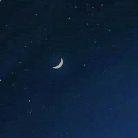Moonie