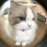 แอดมินชื่อฝ้ายคับ