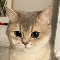นีออน