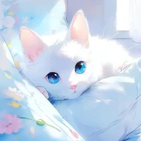 wel (duiwel) chat de miliana