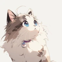 fel(teufel) chat de serena