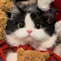 แอค