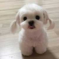 Eu~Autora