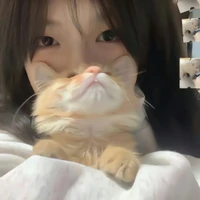 พะแพง( เป็นสายวายชอบแมว )