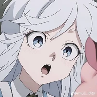 hikua mituyo(y/n)