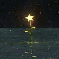 y/n