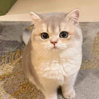 เมล(ตอนเด็ก+น้องแฝด)
