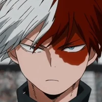 shoto todoroki