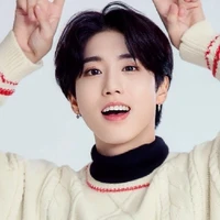 Jisung Han