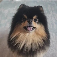 yeontan